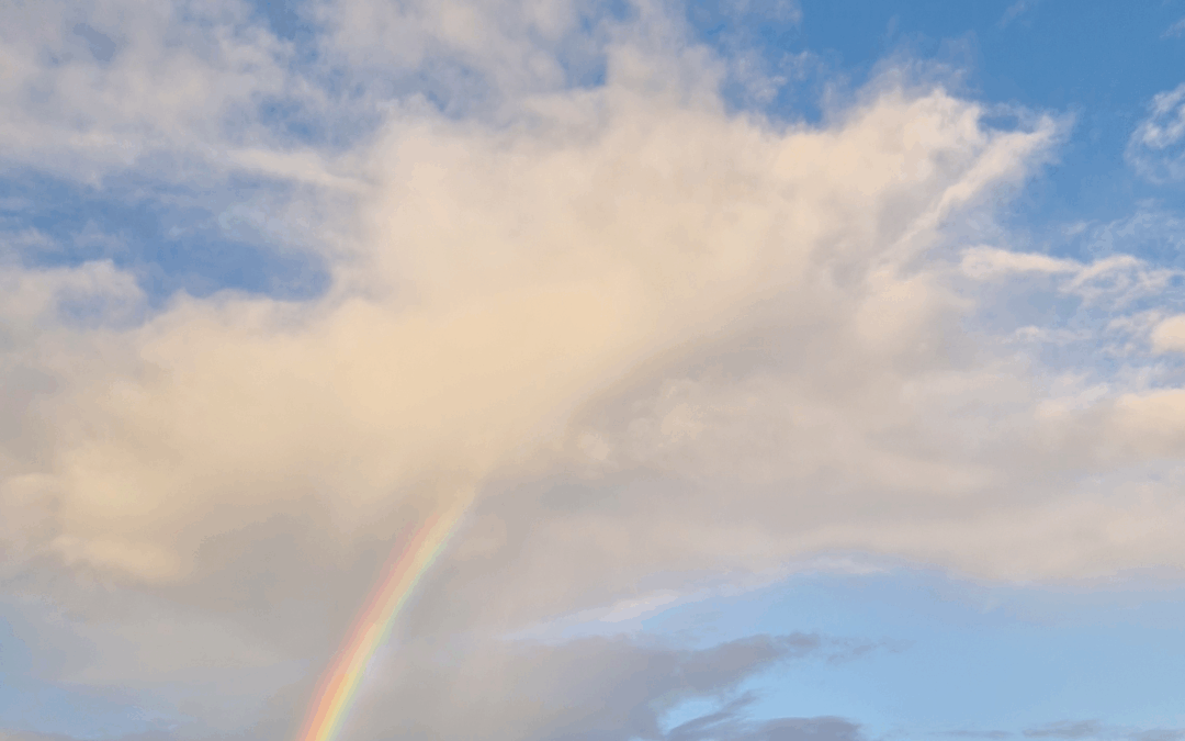 Générateur Manifesteur : Tout savoir sur le type multi-passionné