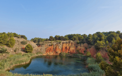 Reflecteur : Tout savoir sur le type le plus rare