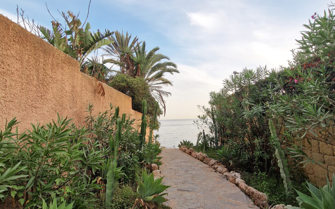 La Stratégie en Human Design : Comment devenir magnétique