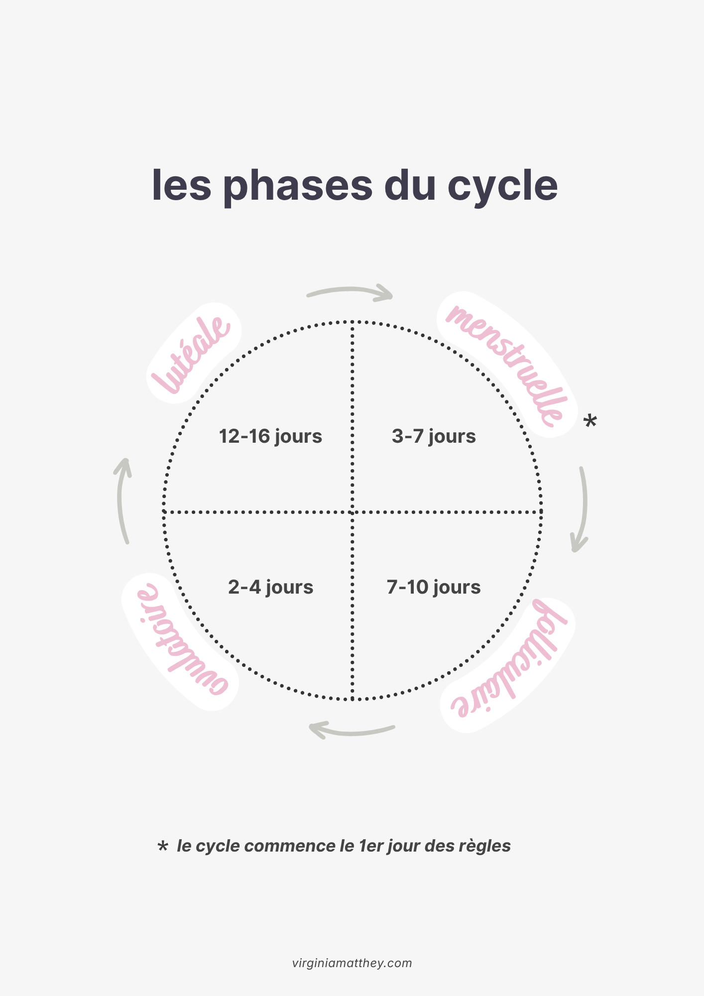 graphique des quatre phases du cycle menstruel