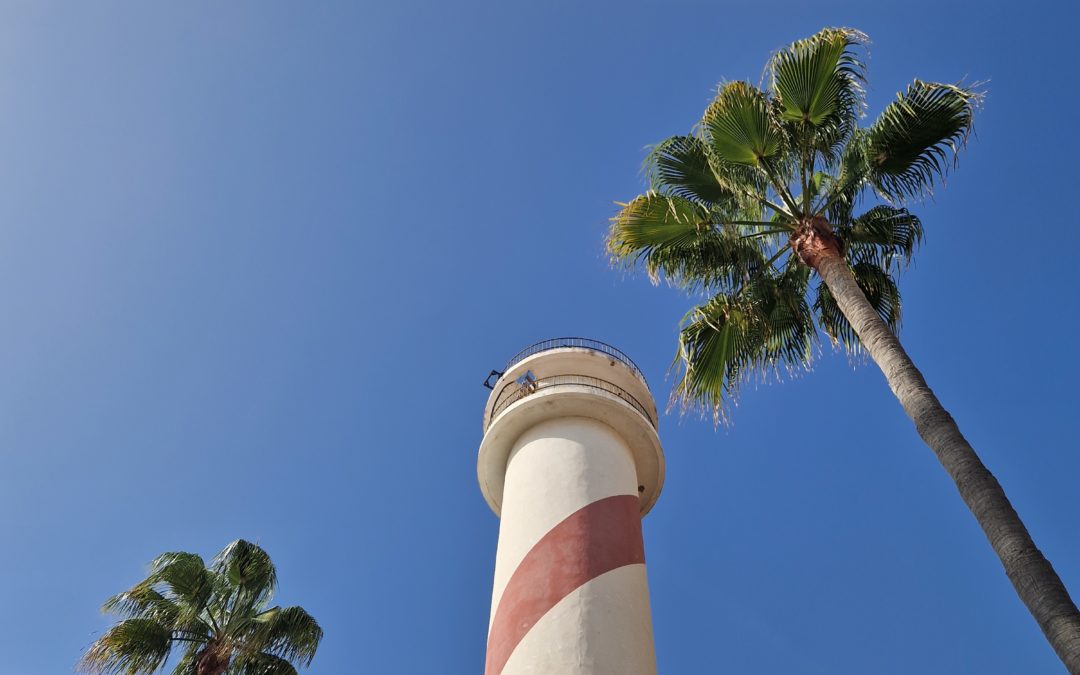 Profil 4/6 Human Design : Quelle signification ?