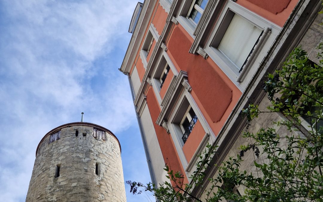 Profil 5/1 Design Humain : Le Résolveur de Challenges